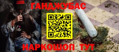 СК Сланцы