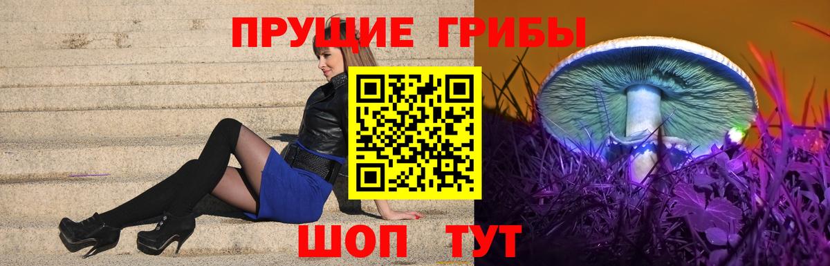 Сосновоборск  Галлюциногенные грибы мицелий  Псилоцибиновые грибы мицелий  Вход с VPN 
