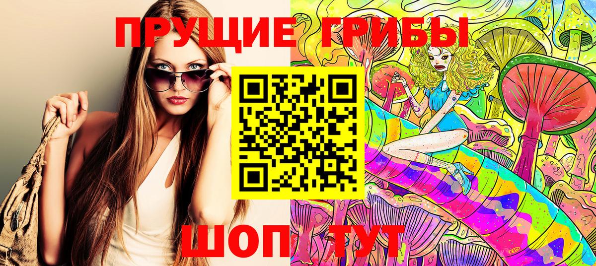 Галлюциногенные грибы Psilocybe Сосновоборск